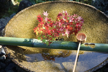 Wall Mural - Enko-ji Temple, Kyoto, Japan