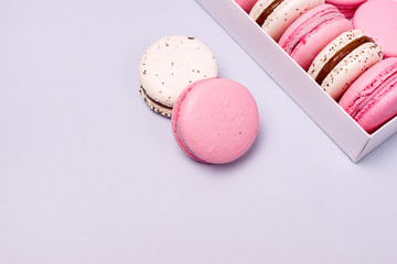 Wall Mural - Pink Strawberry and White Caramel and Salt Macarons French Delicate Dessert Pink and White Pastel Macarons Copy Space