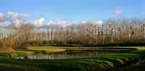 Wall Mural - Etang à la campagne.