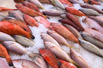 Wall Mural - Fish market in Guadeloupe