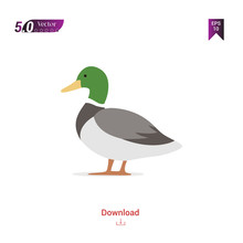 Colorful Duck Animal Vector Icon For Graphic Design