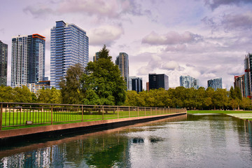 Wall Mural - 2019-09-13 DOWNTOWN BELLEVUE FROM CITY HALL PARK