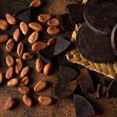 Canvas Print - Cacao beans and chocolate on dark background