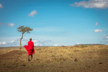 maasai tribe man walking away in kenya africa