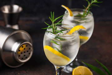 Wall Mural - Gin tonic cocktail with lemon