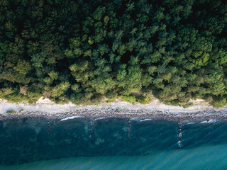 aerial shot of a forest at the coastline of grömitz in northern germany