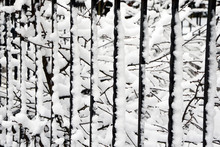 Railing Metal Fence In The Snow 