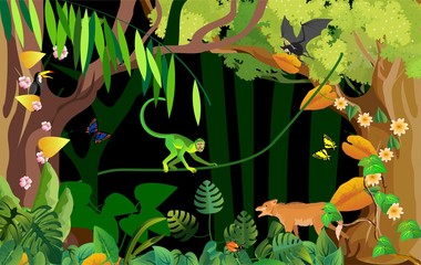 Wall Mural - Nature, wildlife jungle scene, jungle animals,wolf and monkey, trees and grass frame, vector