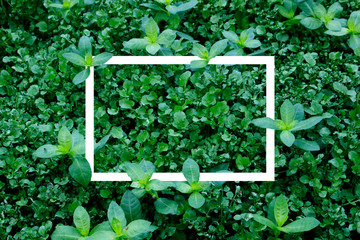 Creative layout made of flowers and leaves with paper card note. Flat lay. Nature concept