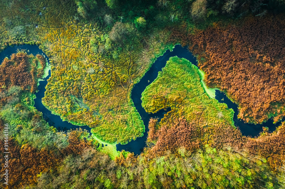 Top down view of river and swamps in autumn, Poland - obrazy, fototapety, plakaty 