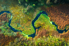 Top Down View Of River And Swamps In Autumn, Poland