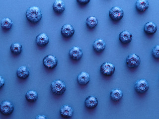 Wall Mural - blueberry berry on a blue background. summer and vitamins