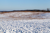 Fototapeta Maki - snow covered farm field