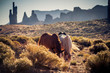 Horses in Monument Valley