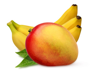 Wall Mural - mango and bunch of bananas on white background with clipping path.