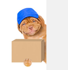 Aufkleber - Smiling puppy wearing a blue cap holds big box and looks from behind empty banner. isolated on white background