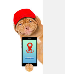 Aufkleber - Smiling puppy holds smartphone behind empty banner. isolated on white background