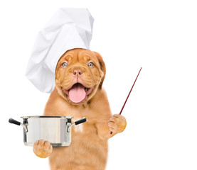 Poster - Funny dog holds a metal pan in its paws and shows away on empty space. isolated on white background
