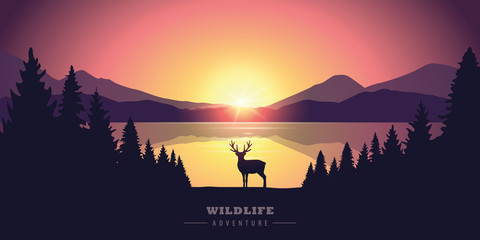 wildlife adventure elk in the wilderness by the lake at sunset vector illustration EPS10