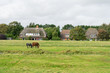 Three horses in Nebel village on Amrum island