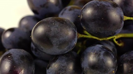 Sticker - Moldova black grapes on a white background