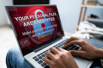 Poster - Looking At Laptop Screen Showing Personal Files Encrypted Text