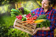 © Milan - Farmer woman holding wooden box full of fresh raw vegetables. Basket with vegetable (cabbage, carrots, cucumbers, radish, corn, garlic and peppers) in the hands.