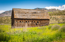 Old Brown Barn In Field 