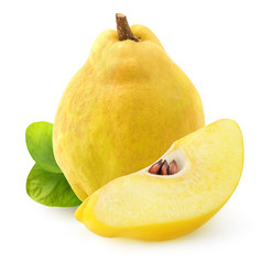 Leinwandbilder - Isolated quince. One whole quince fruit and a wedge isolated on white backfround with clipping path