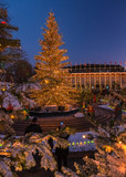 Fototapeta Boho - Denmark - Christmas Tree All Lit Up - Copenhagen