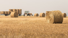 Tractor Working In A Field With Bales Of Hay