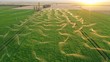 Irrigation systems in grass field. Aerial view. Spring at sunset.