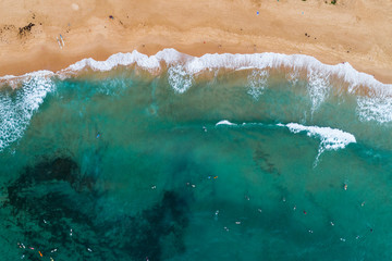 Wall Mural - Top down aerial of Sydney beach