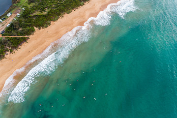 Wall Mural - Aerial view of Sydneys Northern Beaches