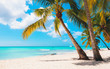 Leinwandbild Motiv Vacation summer holidays background wallpaper - sunny tropical exotic Caribbean paradise beach with white sand in Seychelles island Thailand style with palms and rocks