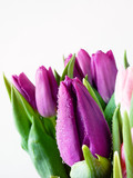 Fototapeta Tulipany - Bouquet of purple tulips on a light background