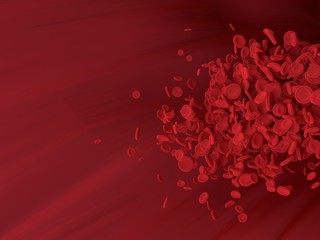 Wall Mural - Red blood cell is flowing in blood vessel of body. Science graphic for education of school. 3D rendering.