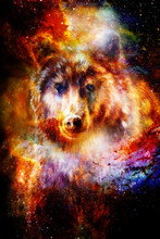Magical Space Wolf, Multicolor Computer Graphic Collage