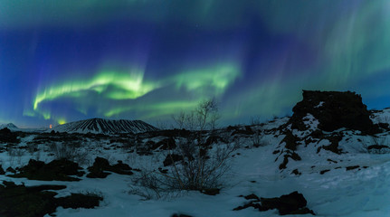 Wall Mural - Northern lights above an arctic landscape 