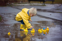 Beautiful Funny Blonde Toddler Boy With Rubber Ducks And Colorful Umbrella, Jumping In Puddles And Playing In The Rain