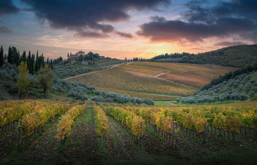 Wall Mural - Sunset in Gaiole in Chianti with Chianti vineyards. Gaiole in Chianti, Tuscany, Italy.