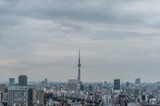 Fototapeta  - 曇りの日の東京都文京区後楽園から見た東京の夕景