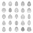 Pine cone botanical icons set. Outline set of pine cone botanical vector icons for web design isolated on white background