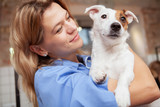 Fototapeta  - Close up of a cute healthy happy puppy mature female vet is holding. Veterinarian cuddling with adorable jack russel terrier dog