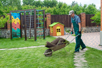 Wall Mural - man mowing the lawn