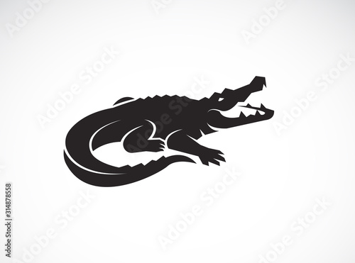 Photographie Vector of crocodile design on white background
