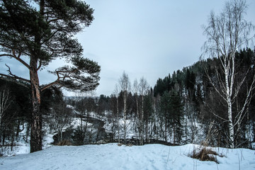 Canvas Print - Landscape with the image of winter karelian nature