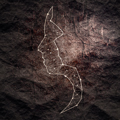 Wall Mural - head of the person in wireframe style. geometric face design. polygonal covering skin. connected lin
