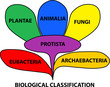 Biological classification taxonomy
