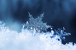 © Ольга Холявина - Snowflakes close-up. Macro photo. The concept of winter, cold, beauty of nature. Copy space.